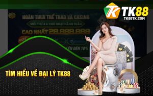 Tìm Hiểu Về Đại Lý TK88